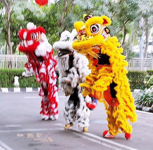 Sewa Barongsai Kwee Tjoan An