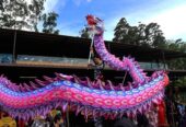Barongsai Liong The Tjien Sing