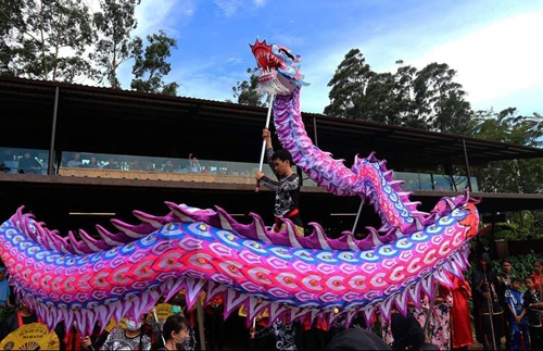 Barongsai Liong The Tjien Sing