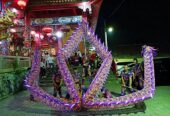 Barongsai Liong The Tjien Sing