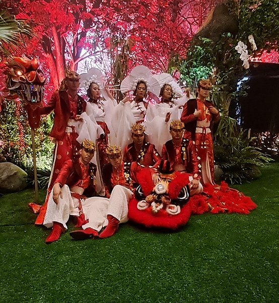 Sewa Barongsai Liong Tan Wan Swee