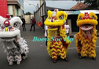 Barongsai-103