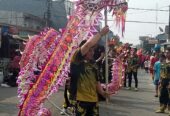 Barongsai Liong Bandung Raya
