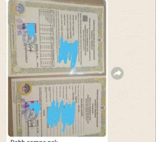 Pembuatan jasa ijazah asli terdaftar aman terpercaya
