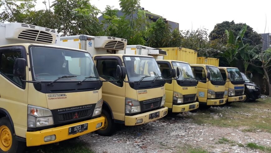 Disewakan mobil box pendingin & kering