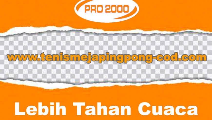 Tenis meja pingpong merk BINTIKERS 2.0