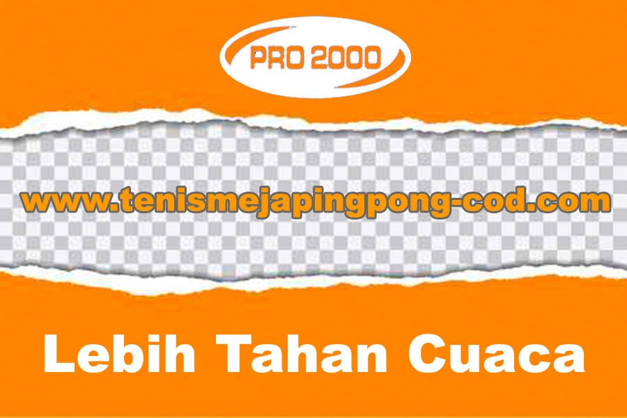 Tenis meja pingpong merk BINTIKERS 2.0