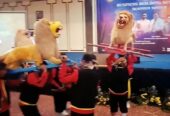 Grup Sisingaan Suryadilaga Bandung