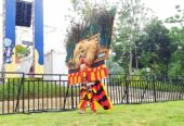 Grup Reog Ponorogo Mardiselo