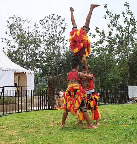 Grup Reog Ponorogo Mardiselo