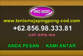 Tenis meja pingpong merk X-BAR T88