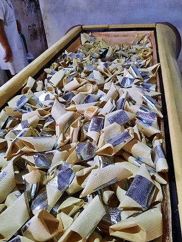 Foto Vidio Shoting Duka Cita