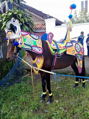 Kuda Renggong Suryadilaga