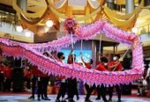 Sewa Barongsai Liong Tan Akong