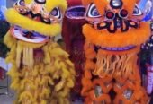 Sewa Barongsai Depok Jaya