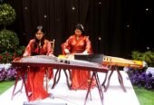 Musik Guzheng Erhu Citra Studio