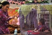 Turun Tanah Tedak Siten
