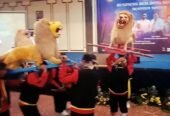 Grup Sisingaan Suryadilaga