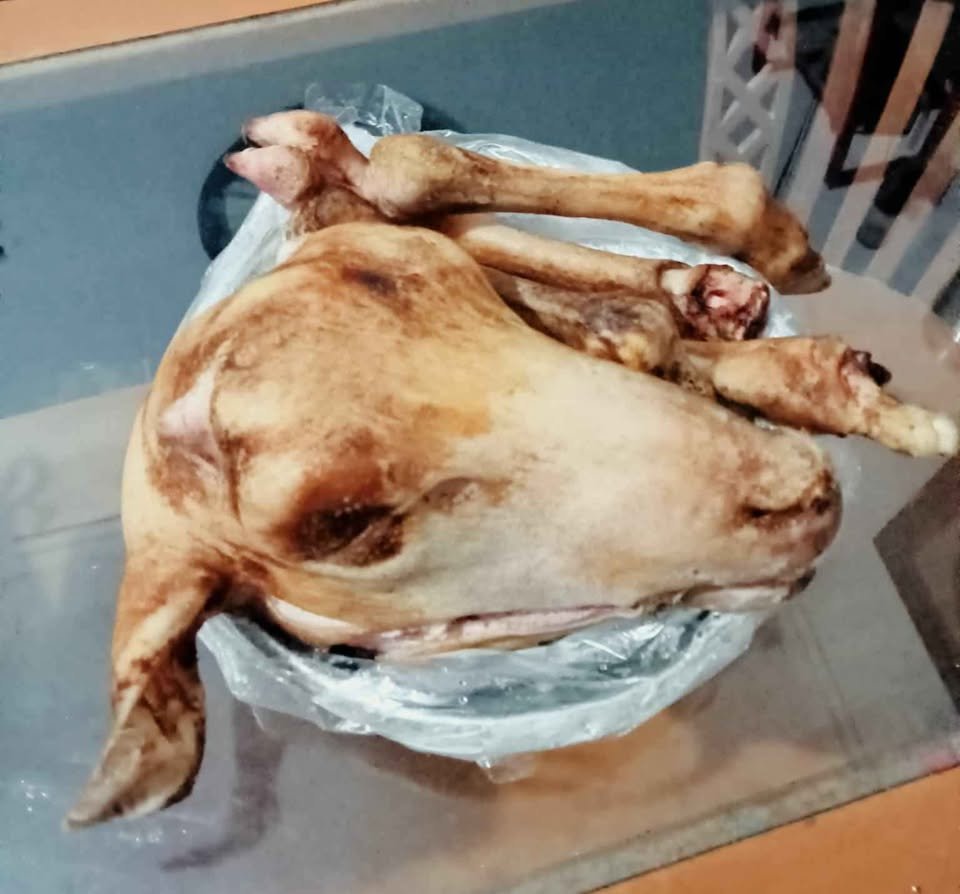 Gulai Kepala Kambing Muda + Kaki 120K