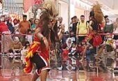 Reog Ponorogo Citro Kencono