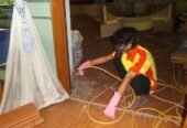 Anti Rayap Jabodetabek Hub Mulyadi,08561710999