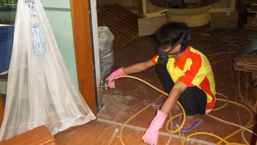 Anti Rayap Jabodetabek Hub Mulyadi,08561710999