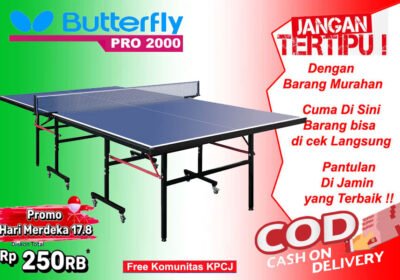 tenis-meja-ping-pong-murah-merk-BUTTERFLY-PRO-2000-Btr5yj9G4g4