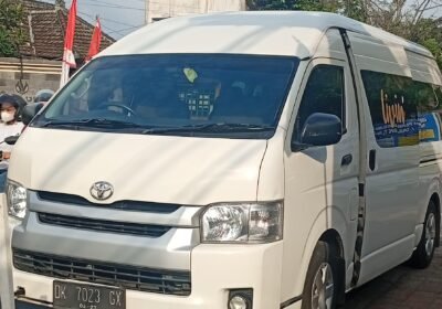 1000084797