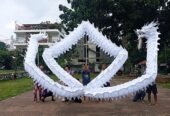 Barongsai Liong Koh Babah