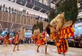 Sanggar Reog Ponorogo Mardiselo