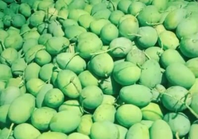 4c554e38-09b8-4786-a09d-0a812694a652