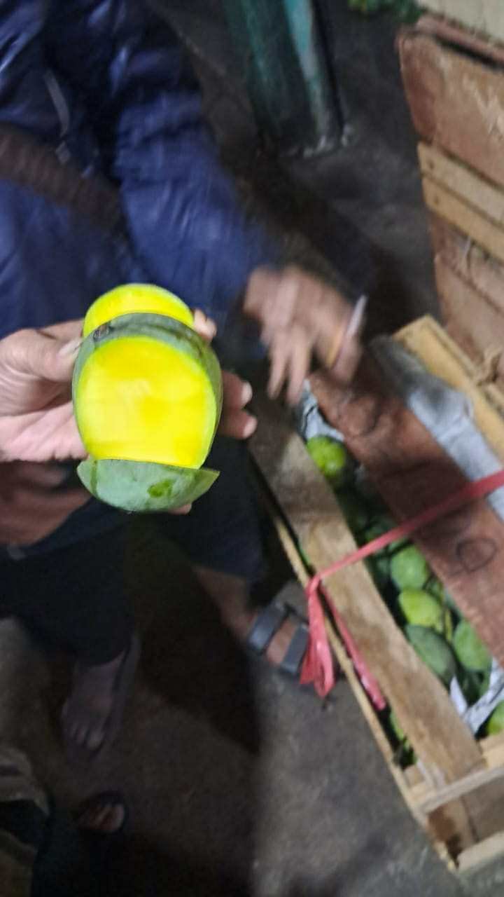 Jual Mangga Kweni Harga Terbaik (Grosir Pasar Induk) Bandung